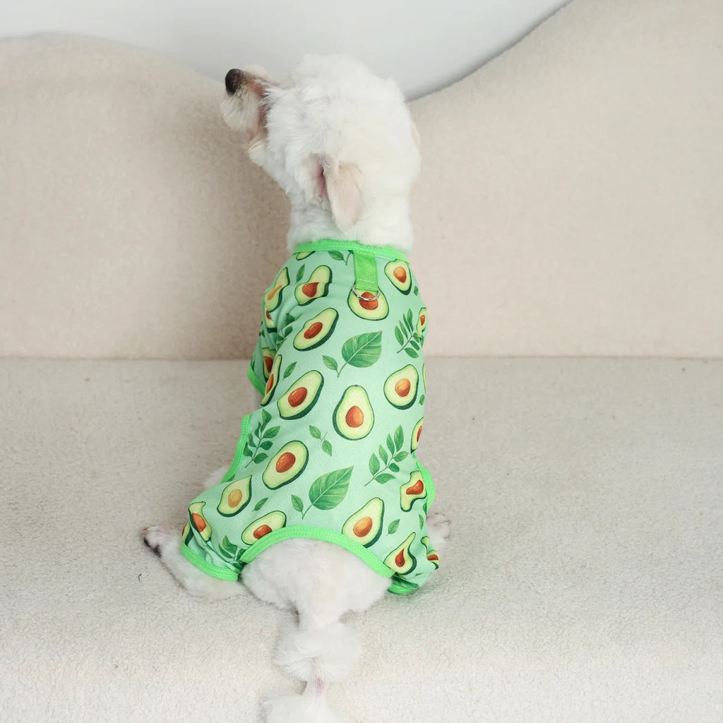 Dog Pajamas for Small Dogs Girl Boy Puppy Pjs Summer Pet Onesies for Chihuahua Yorkie Teacup Cute Soft Material Stretch Outfit